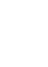 The Big Catch Logo